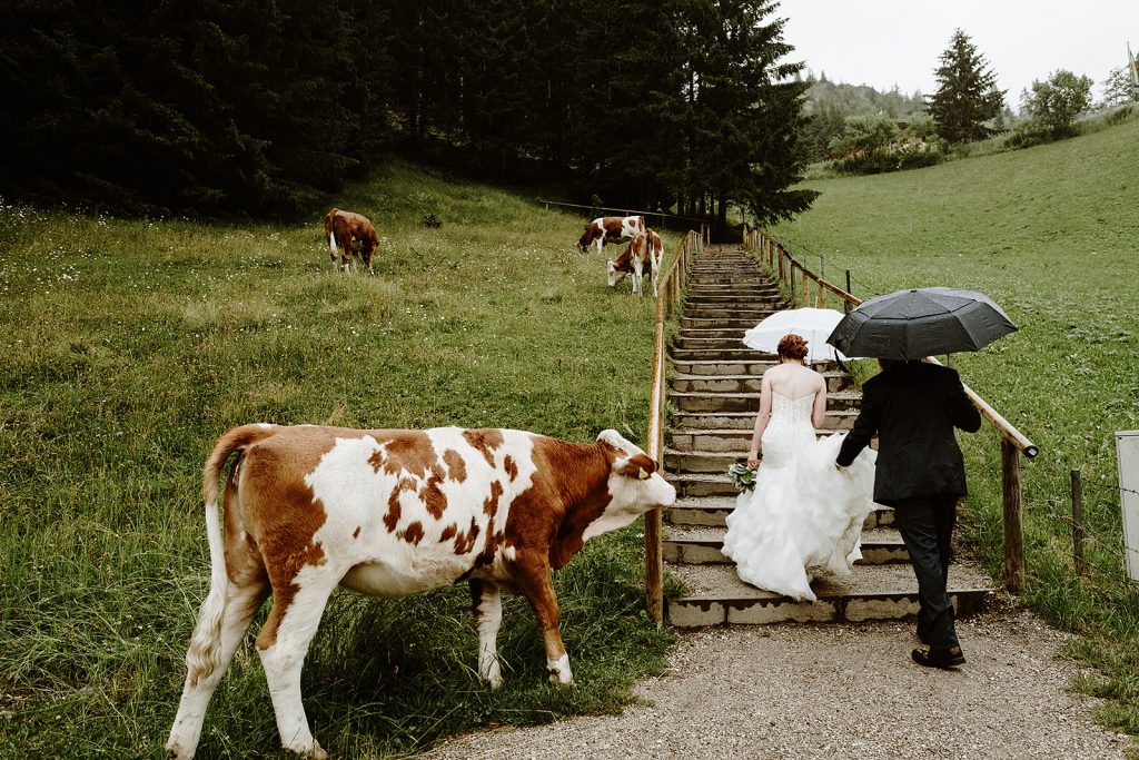 Austria Wanderlust Wedding
