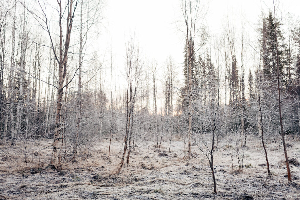 Swedish Lapland Elopement
